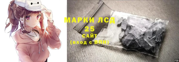 индика Беломорск