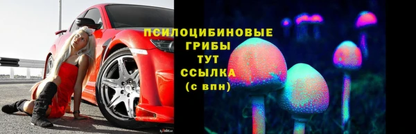 индика Беломорск
