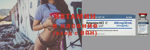 индика Беломорск