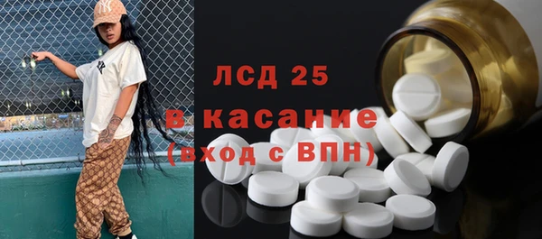 индика Беломорск