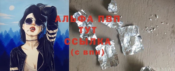 индика Беломорск