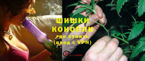 индика Беломорск
