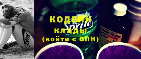 индика Беломорск