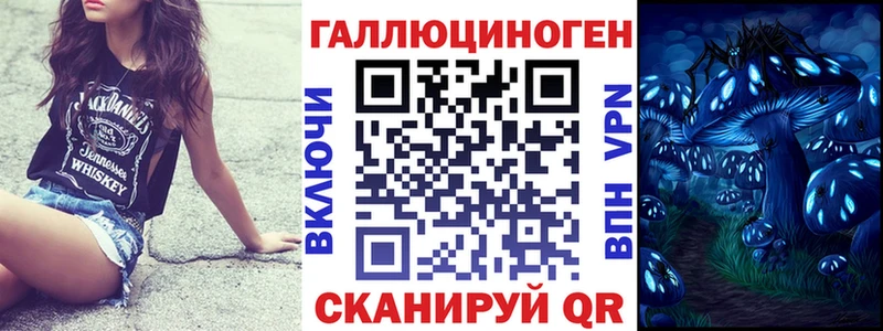 Галлюциногенные грибы Psilocybine cubensis  где купить наркоту  ОМГ ОМГ ссылки  Ульяновск 